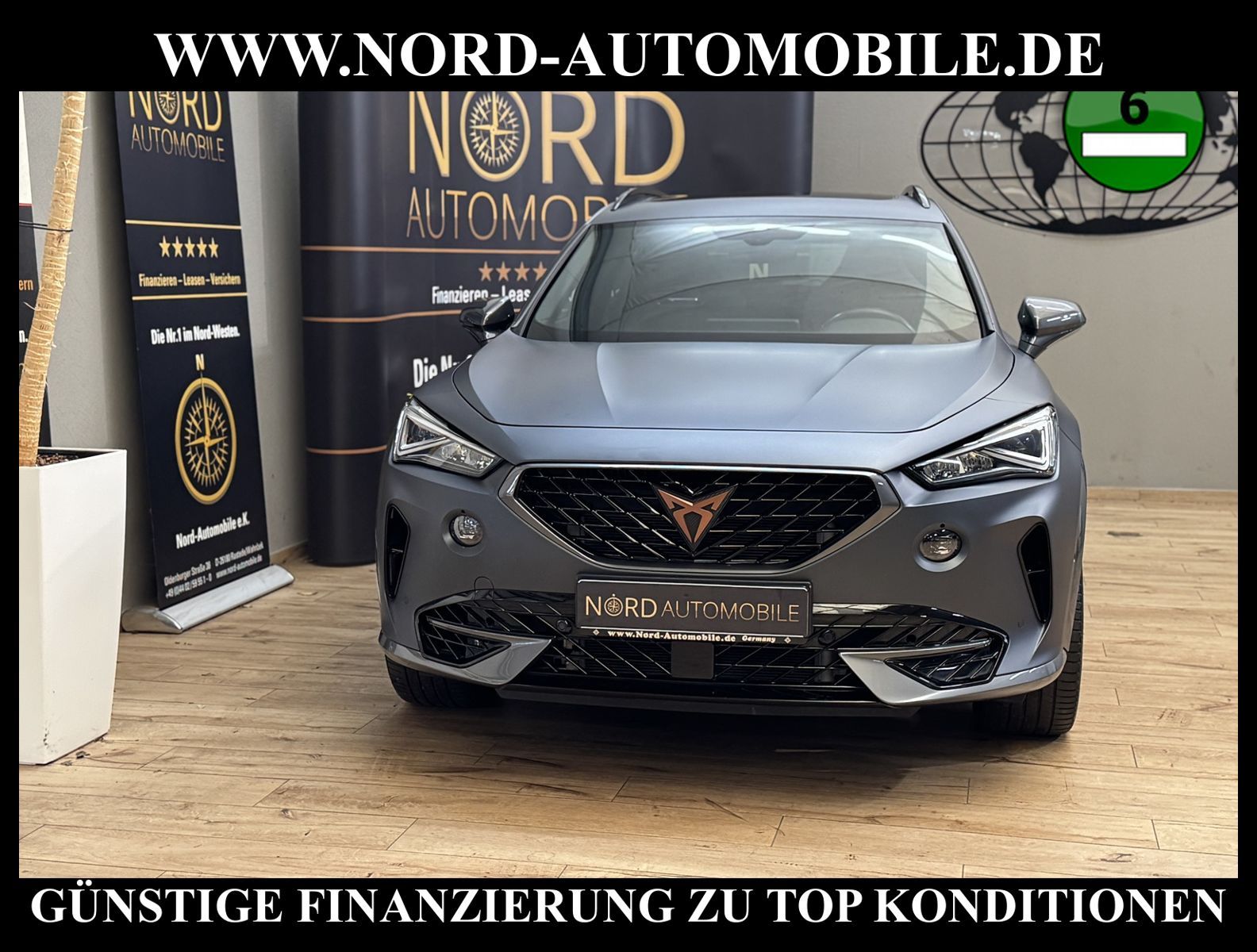 Cupra Formentor 2.0 TSI VZ AHK/Pano/Leder/Mattlack/