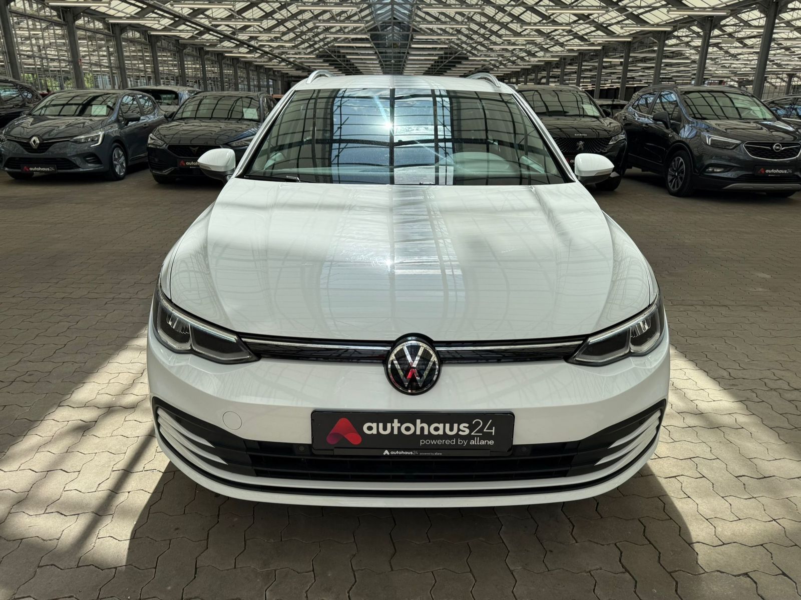 Volkswagen Golf VIII 2.0 TDI Life - Samsaru's Car Outlet