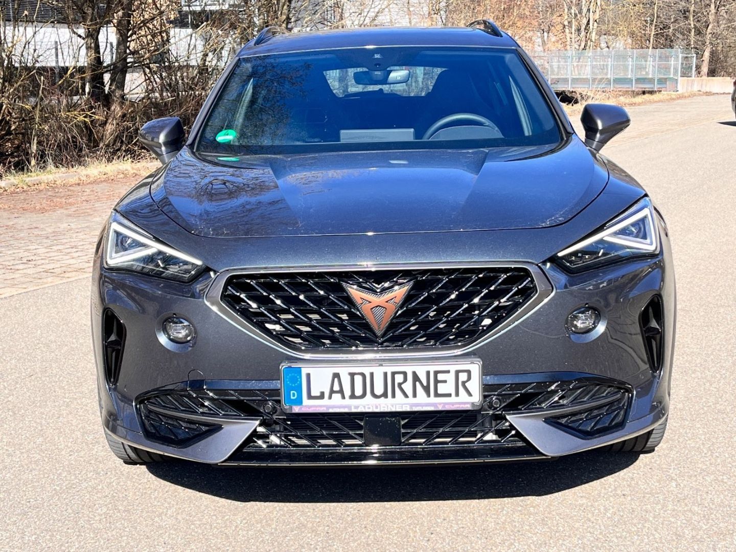 Cupra Formentor VZ 245PS Hybrid *PANO+MATRIX+AHK+NAVI*