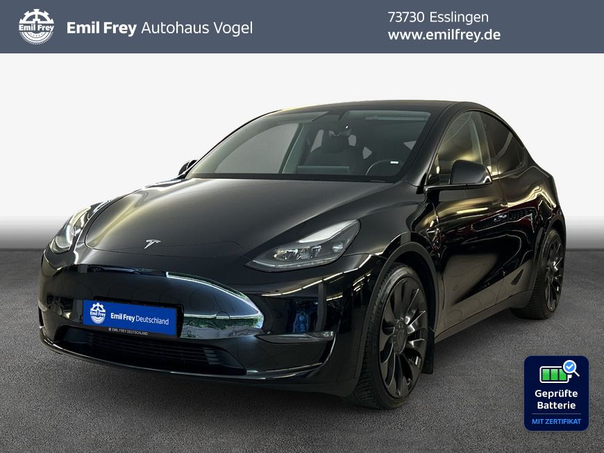 Tesla Model Y Performance Dual Motor AWD Skyview