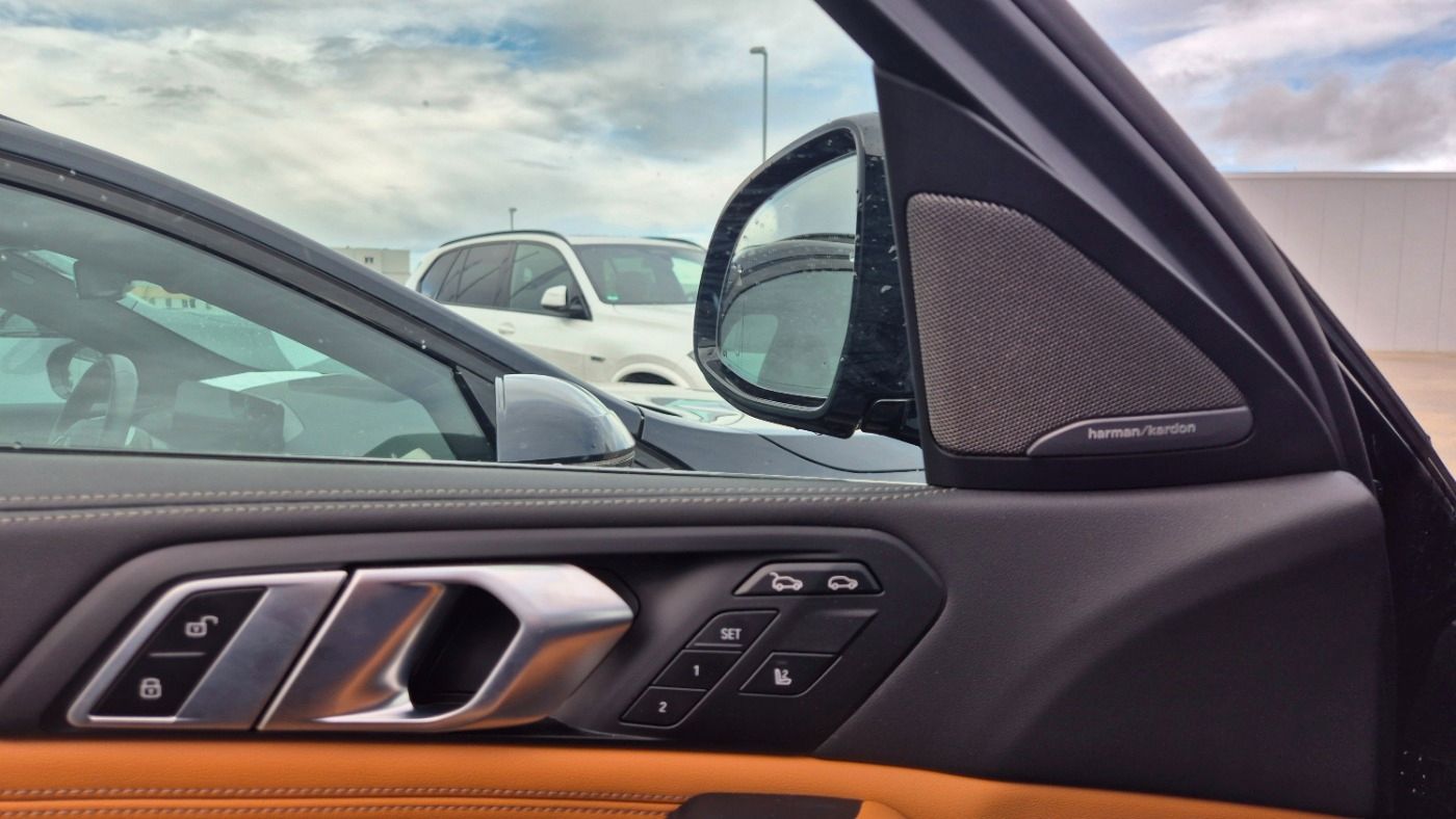 BMW X6 xDrive 40d M-Sport M-Sport/Aktivlenk/AHK/Alar