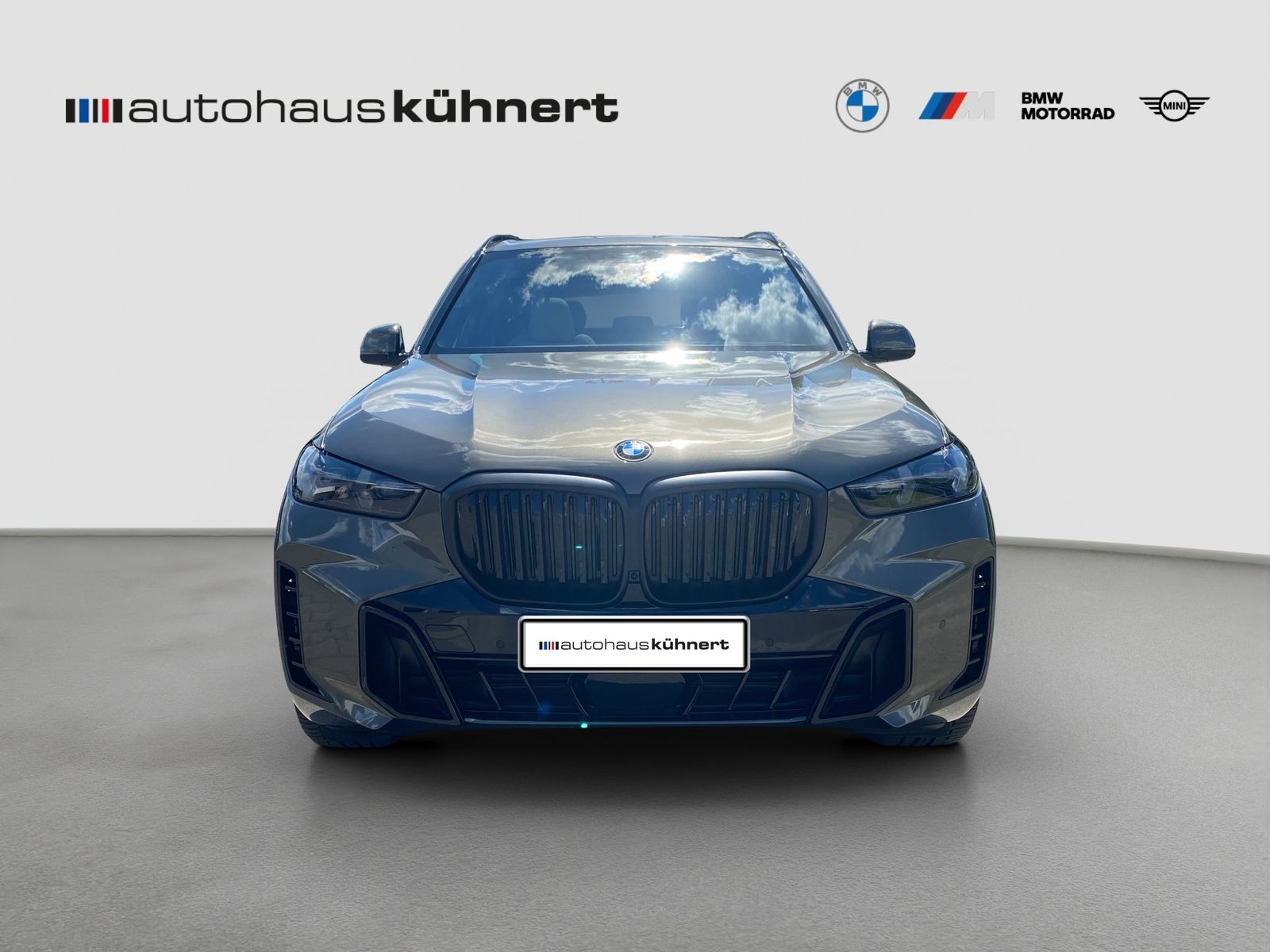 BMW X5 xDrive 40d ///M-Sport PRO ACC AHK Pano 360° H