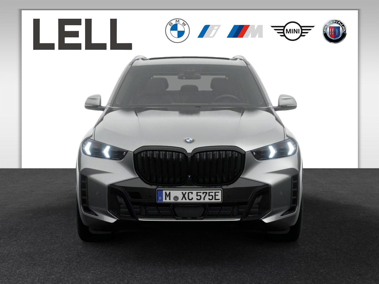 BMW X5 xDrive50e M Sportpaket Pro / H&K / AHK / 2-Ac