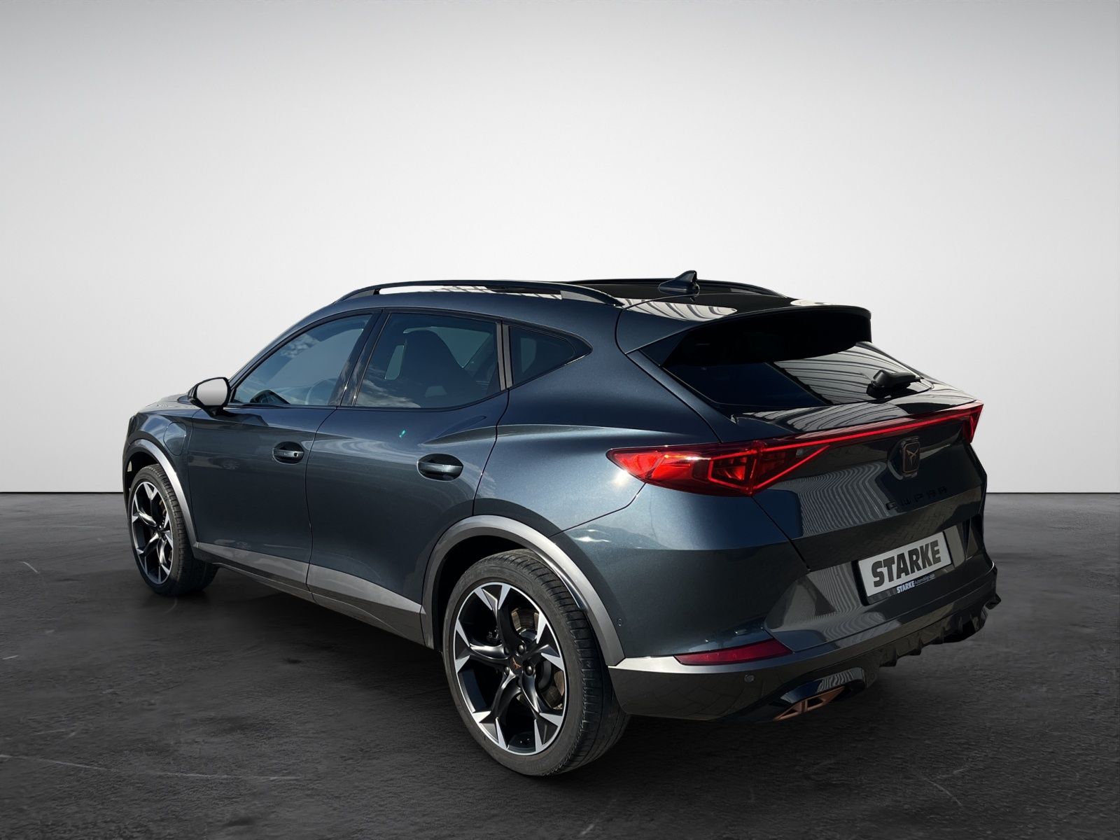 Cupra Formentor 1.4 TSI eHybrid DSG VZ  Panodach AHK N