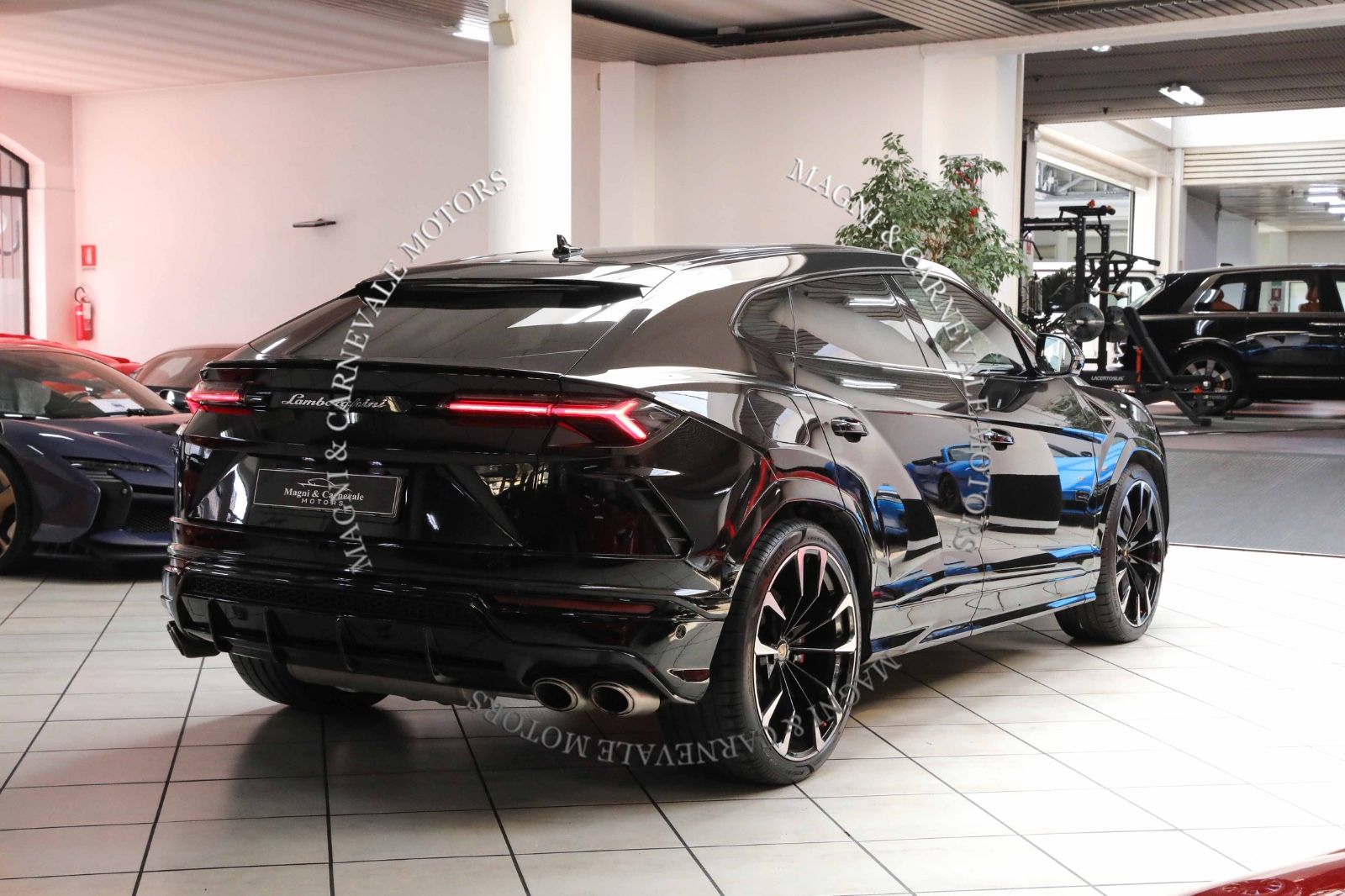 Lamborghini Urus - Samsaru's Car Outlet