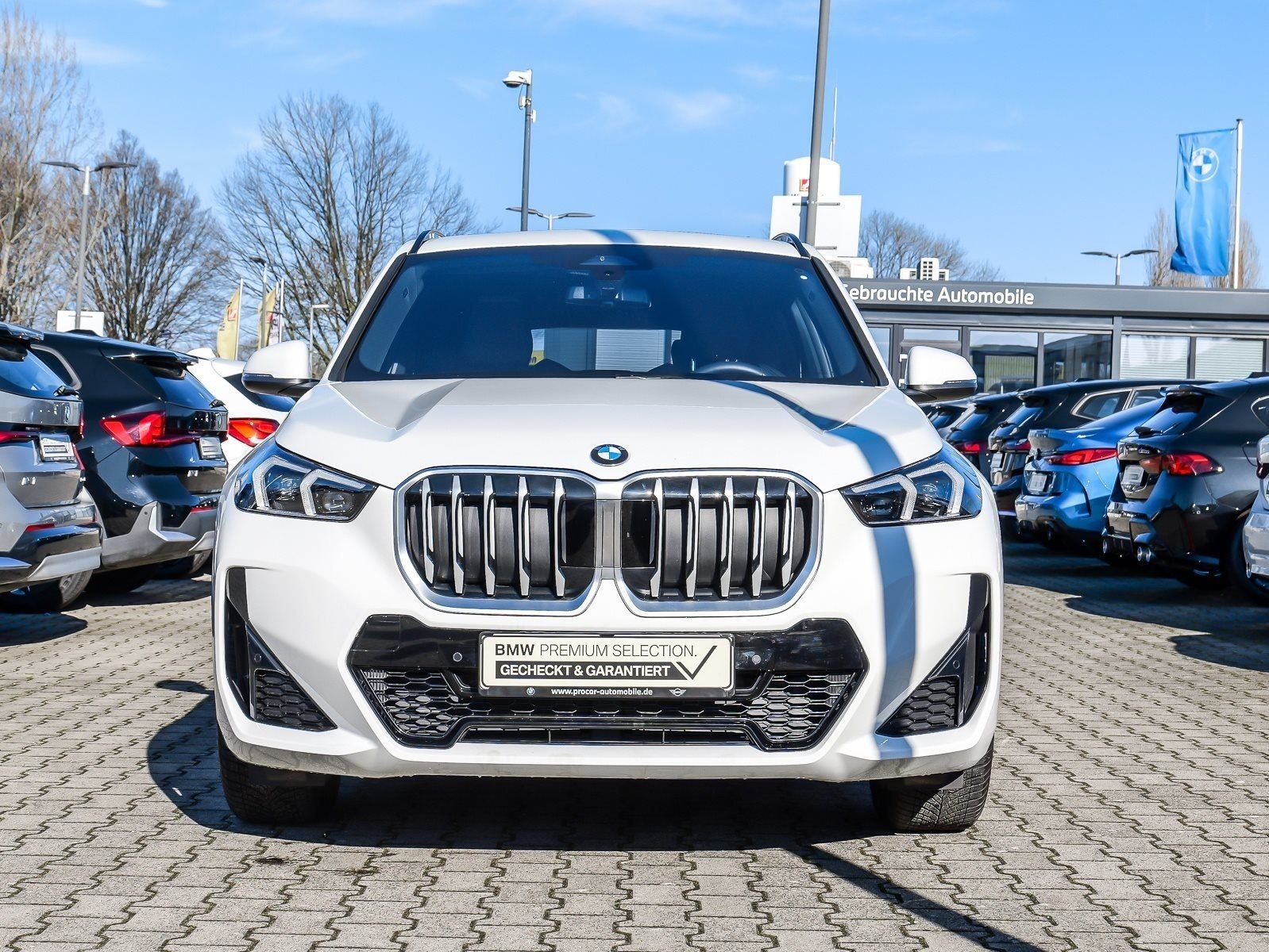 BMW X1 xDrive23d M Sport AHK Pano Memory DA+ H/K RFK