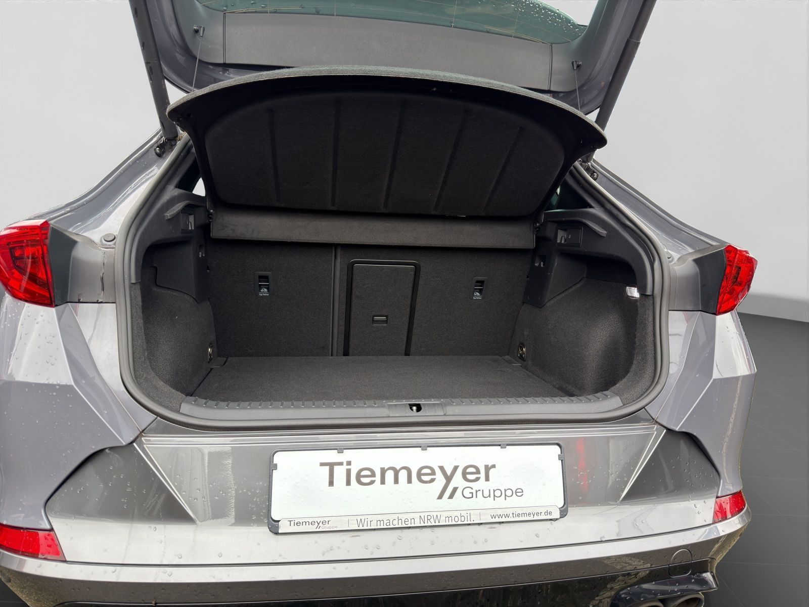 Cupra Formentor VZ 2.0 TSI BREMBO AHK PANO BEATS eKLAP