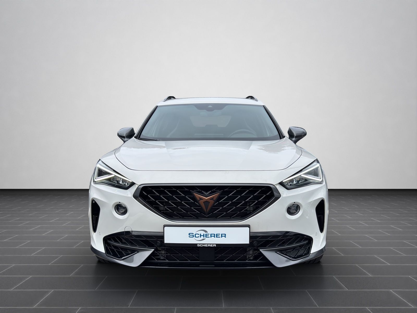 Cupra Formentor VZ 2.0 TSI 4Drive NAVI AHK KAMERA ACC