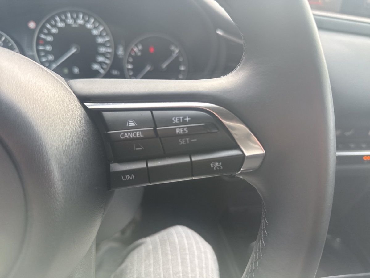 Mazda CX-30 2.5L e-SKYACTIV G 140ps Aut. Homura