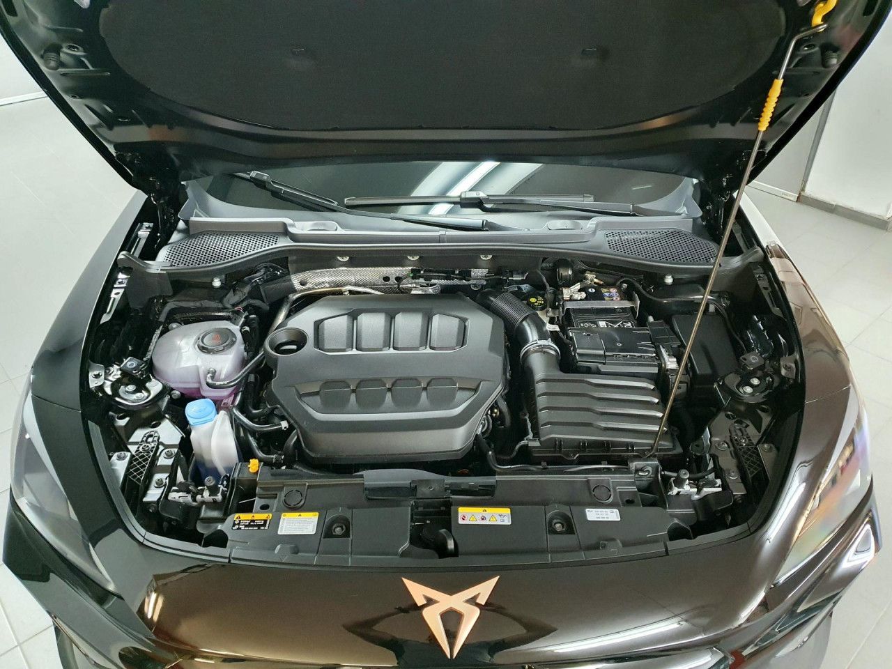 Cupra Formentor VZ 2.0TSI DSG 4Drive Akrapovic/Pano/