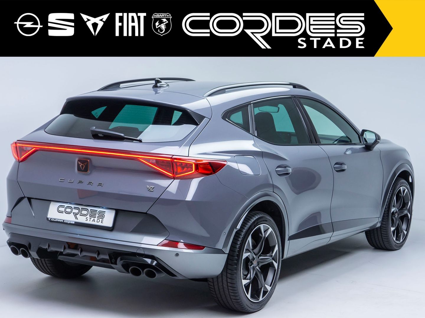 Cupra Formentor VZ 4Drive 2.0 TSI AHK ACC Automatik Ap