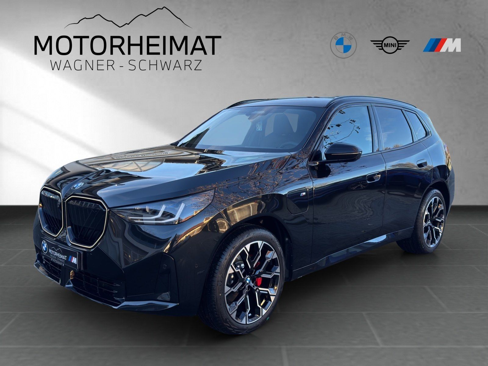 BMW X3 30e xDrive M Sport Pro AHK HUD ACC 360°