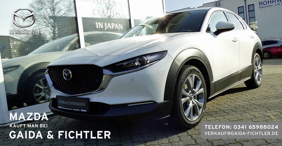Mazda CX-30 e-SKYACTIV G 140 PS Automatik Takumi Leder