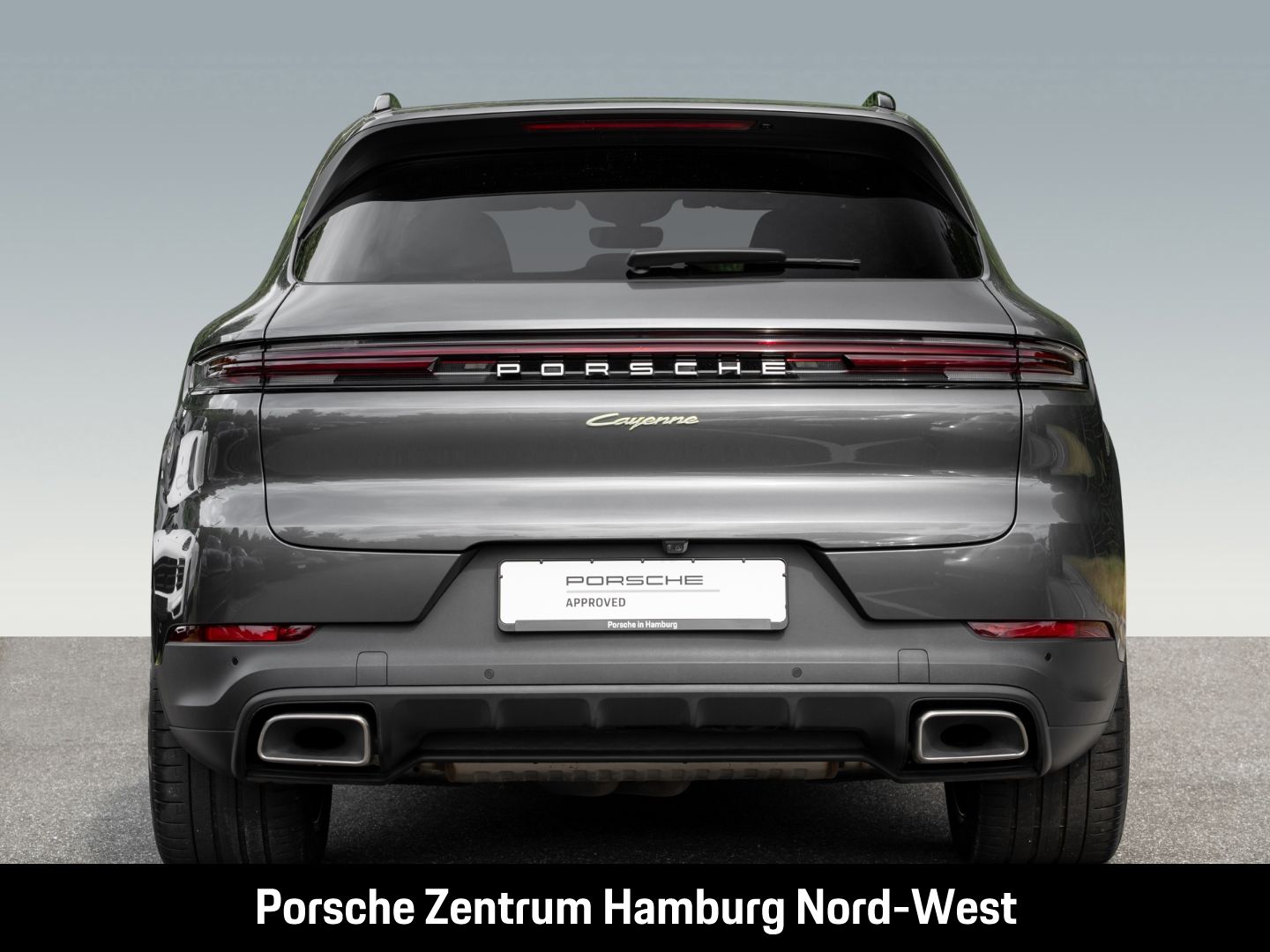 Porsche Cayenne E-Hybrid Panoramadach PASM BOSE ACC 360°