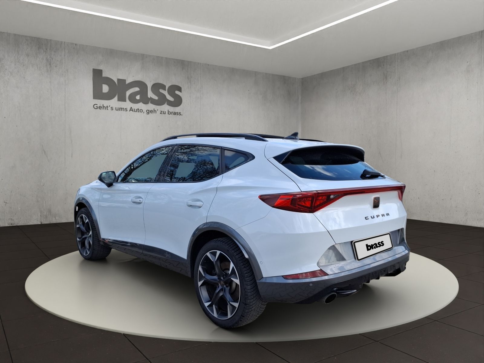 Cupra Formentor 2.0 TSI VZ AHK Panorama Soundsystem