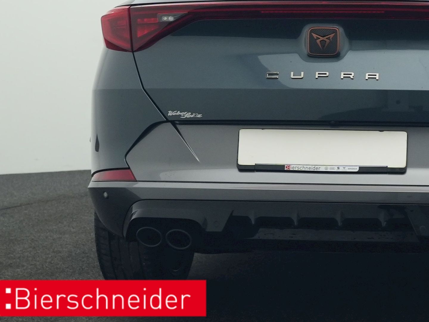 Cupra Formentor 2.0 TSI DSG 4Dr. VZ PANO AHK 360 eHECK