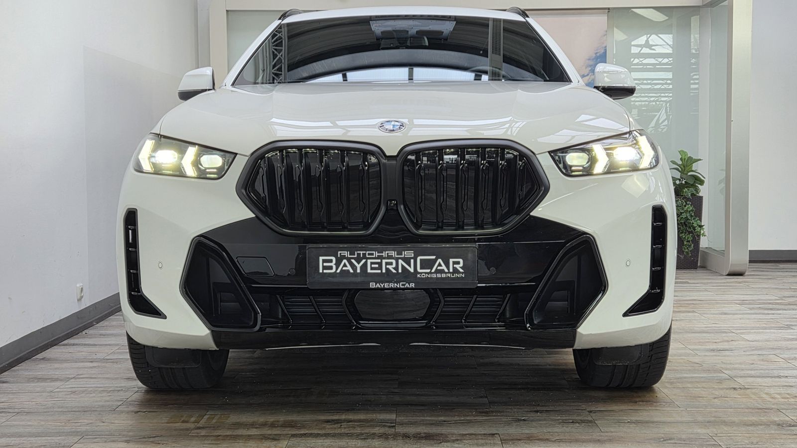 BMW X6 xDrive30d M Sport Pro 22Zoll Luftfeder AHK