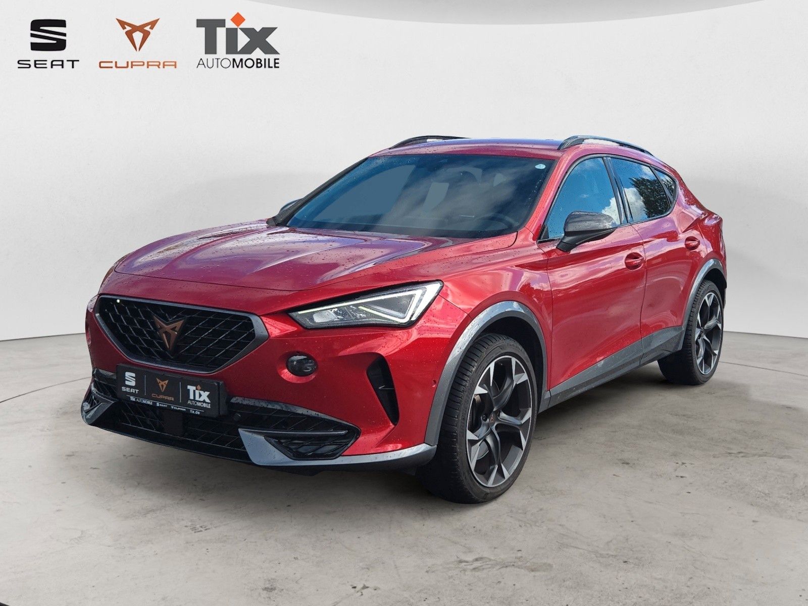 Cupra Formentor VZ 2.0 TSI DSG AHK/Herst.Gar./Kamera