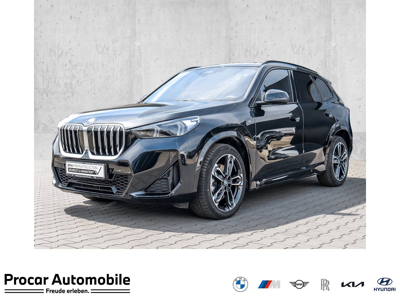 BMW X1 xDrive23d M Sport PANO ACC AHK RFK NAVI LED
