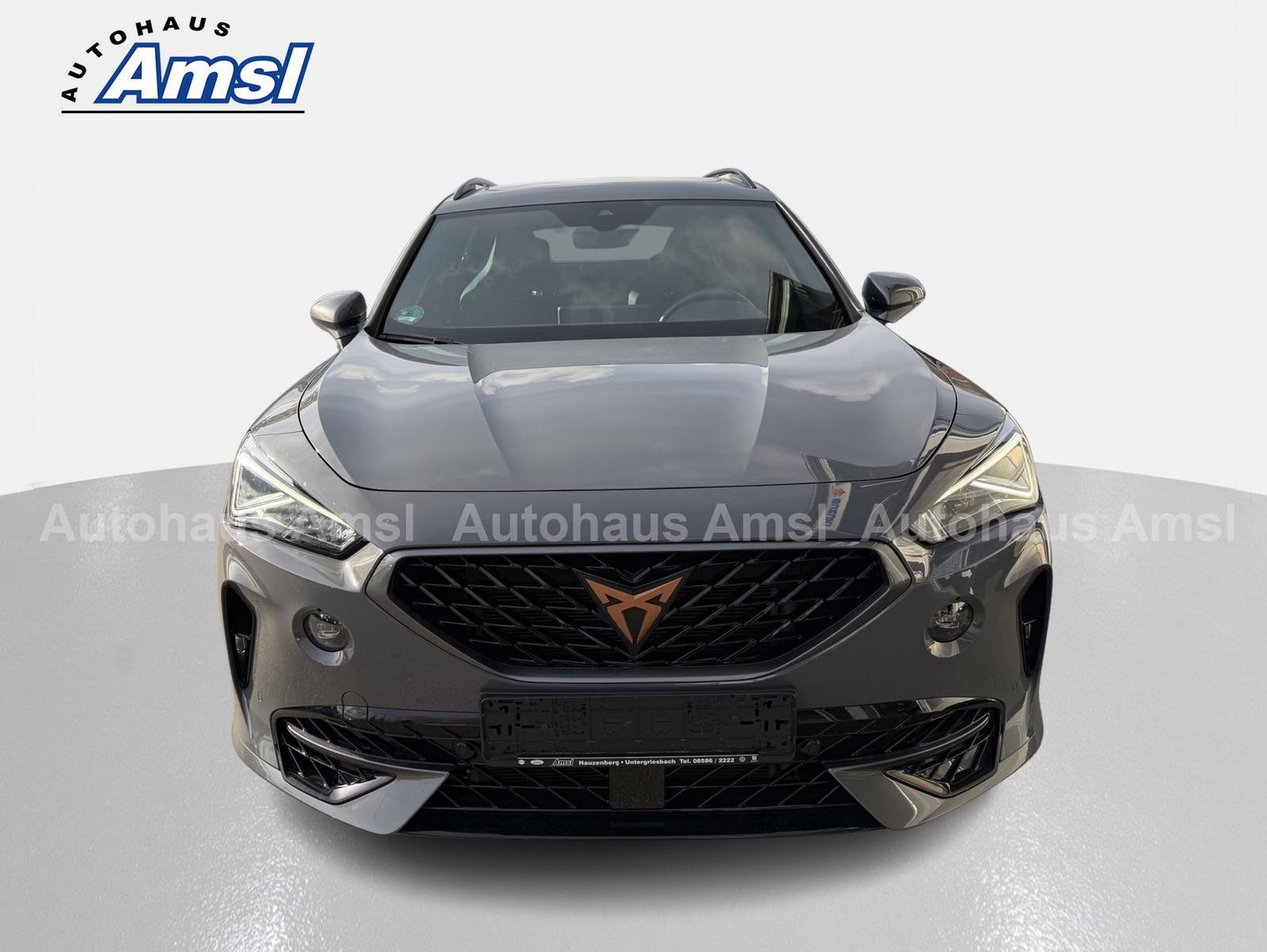 Cupra Formentor 2.0 TSI DSG VZ 4Drive AHK