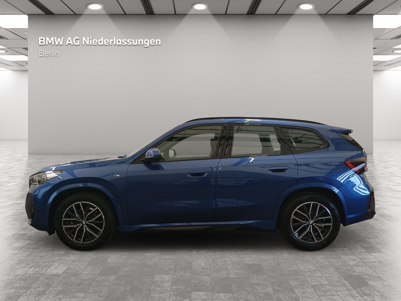 BMW X1 xDrive20d M Sport Leder Navi AHK Driv.Assist+