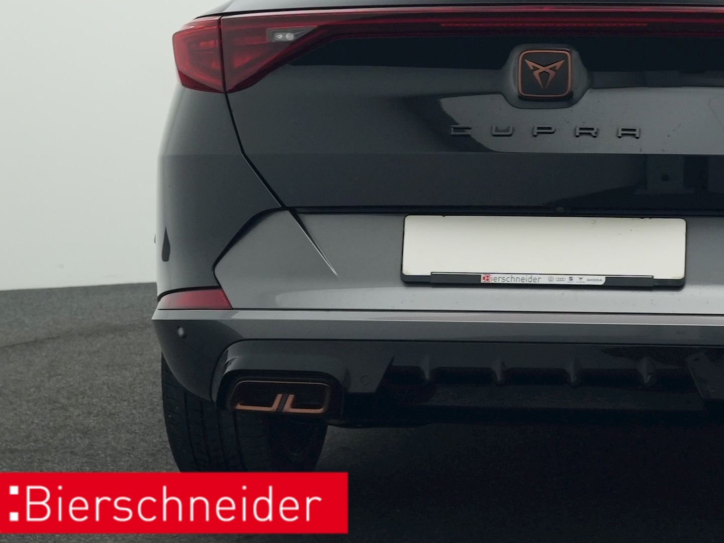 Cupra Formentor 1.4 TSI DSG e-Hybrid VZ PANO AHK KAMER