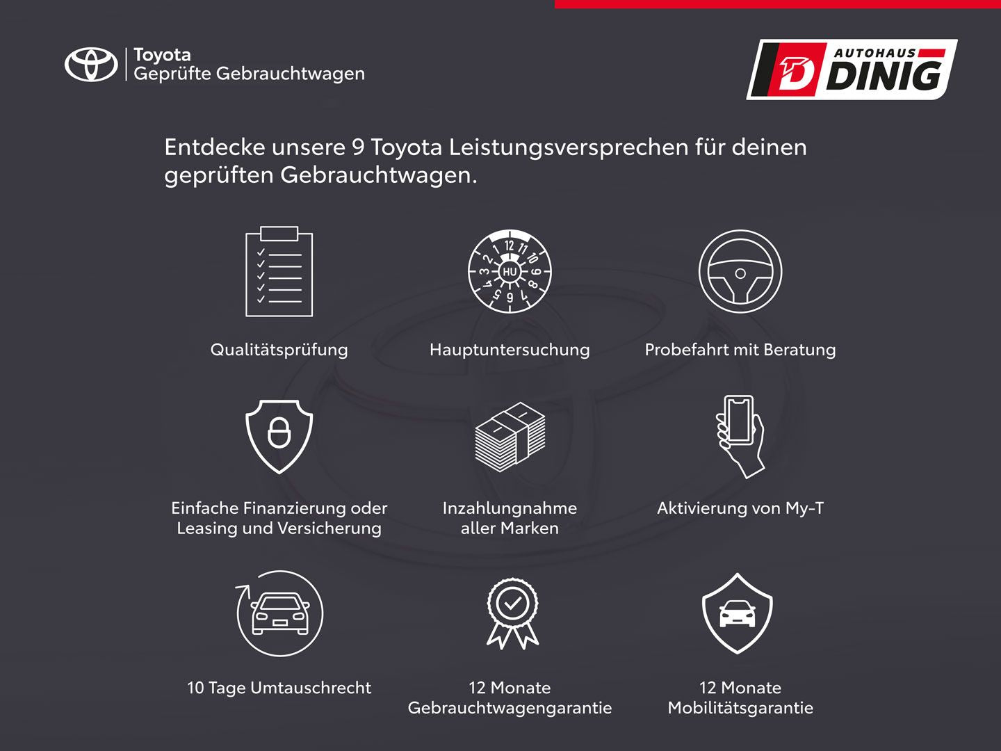 Toyota RAV 4 Hybrid 4x2 Team Deutschland Technik P. Nav