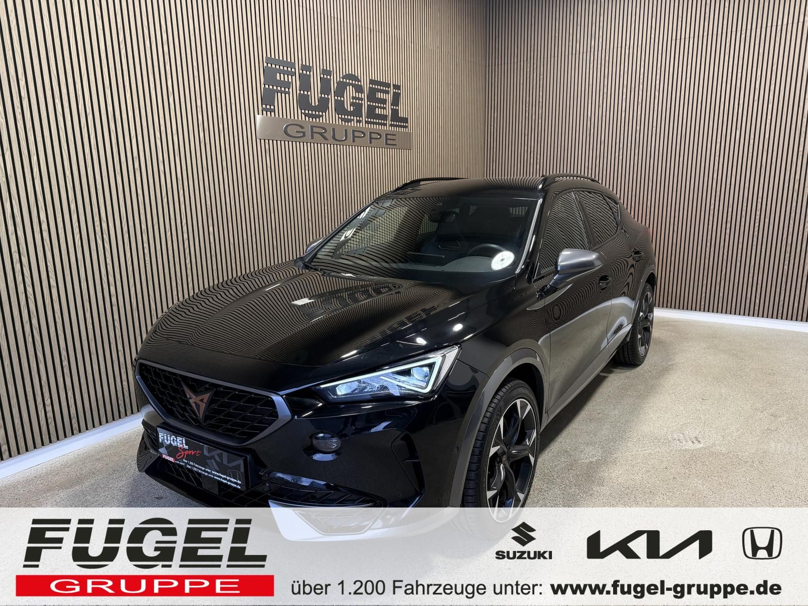Cupra Formentor 2.0 TSI DSG VZ 4Drive AHK|LED|SHZ|Wint