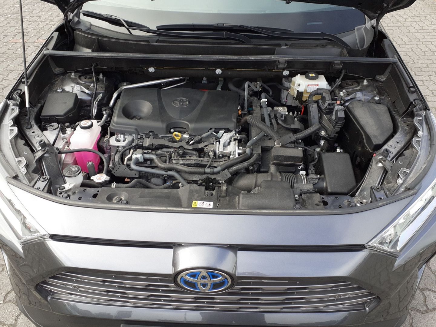 Toyota RAV 4 H3 Business AWD - Samsaru's Car Outlet