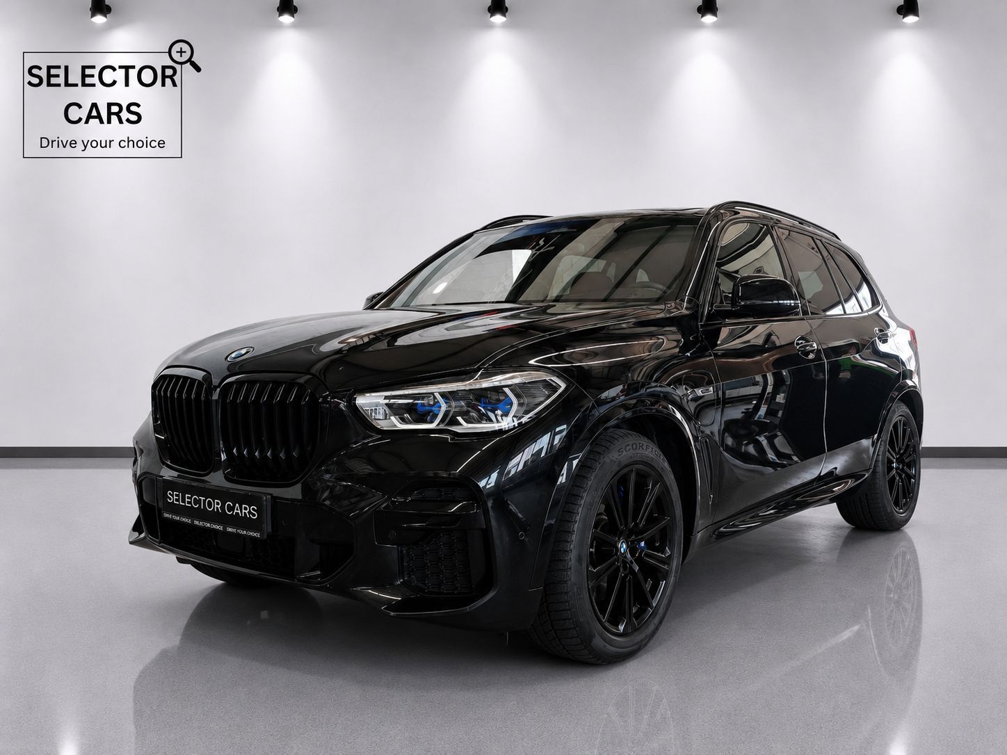 BMW X5 xDrive45e M Sport Sitzbelüftung/ACC/AHK/H&K