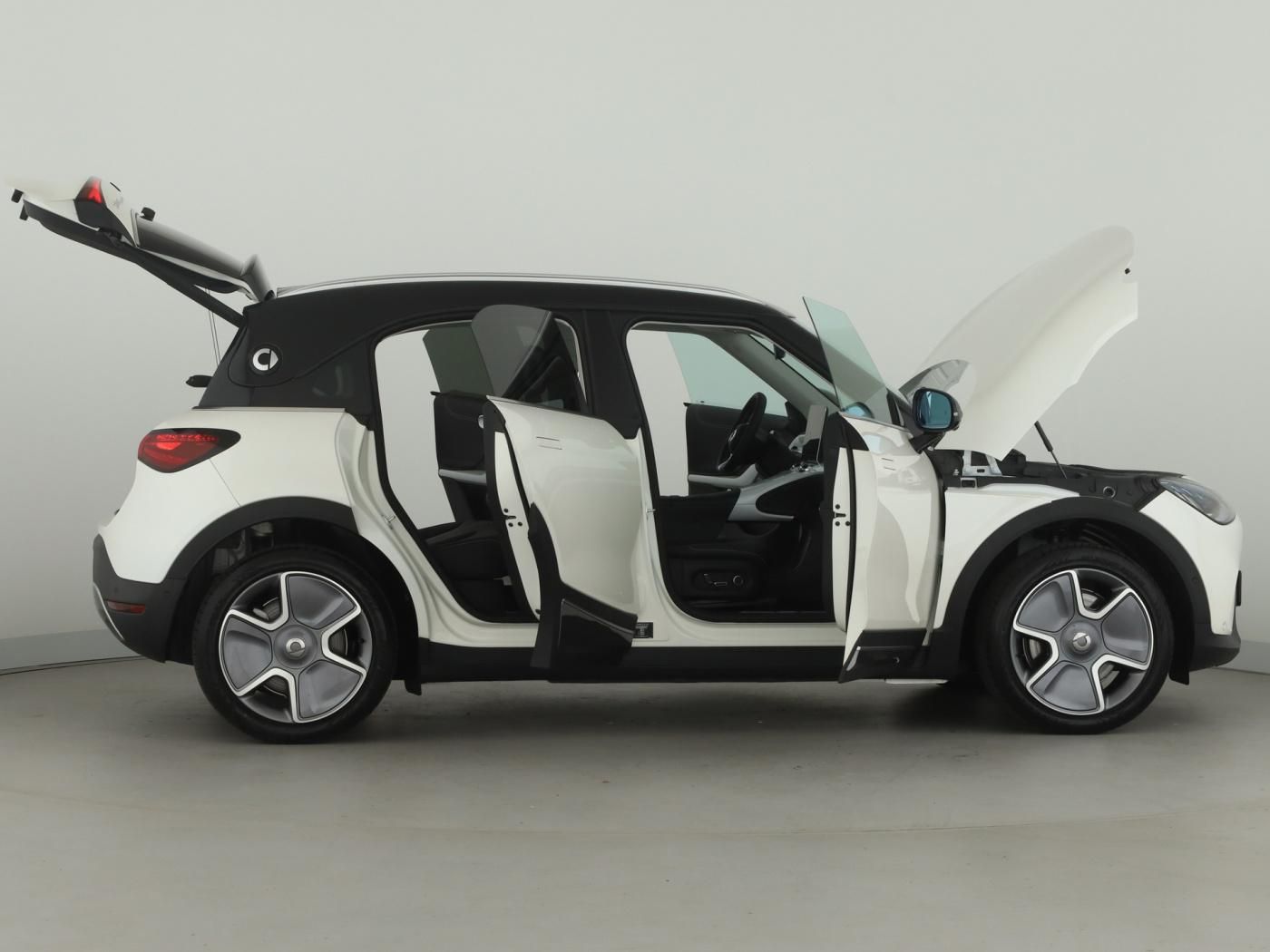 Smart #1 Pulse