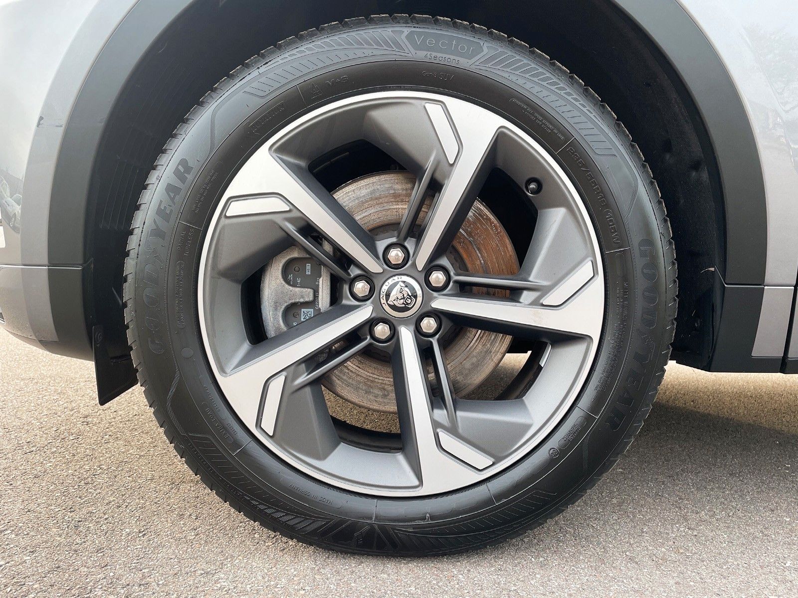 Jaguar E-Pace P250 AWD R-DYNAMIC SE  ACC LED