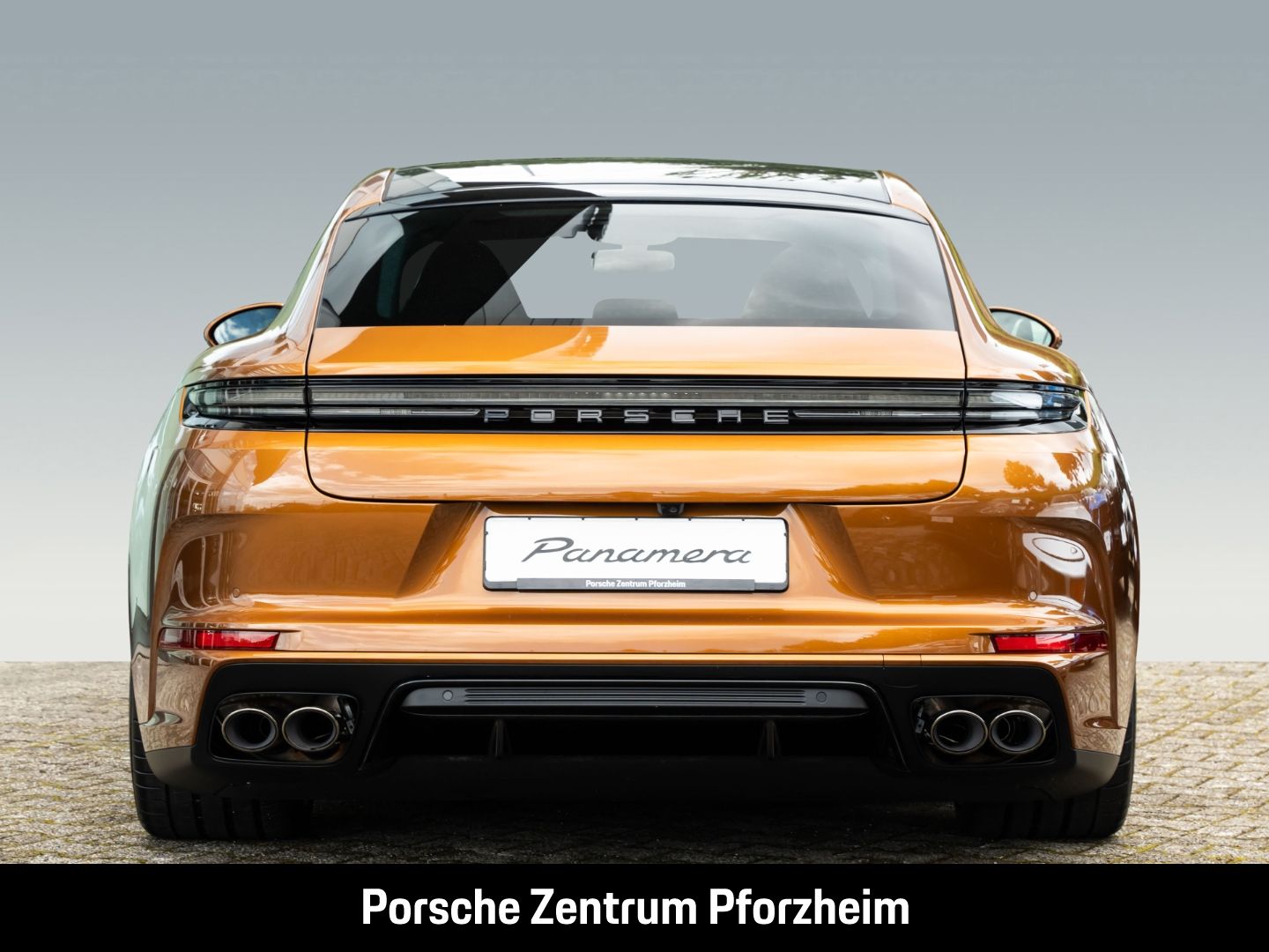 Porsche Panamera 4 E-Hybrid SportDesign Paket HD-Matrix