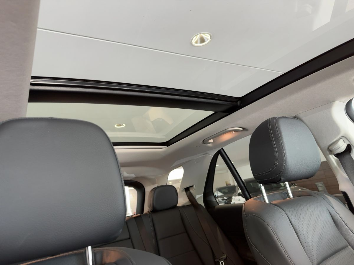 Mercedes-Benz GLE 450 d 4M AMG PREMIUM+NIGHT+AIRMATIC+AHK+PANO