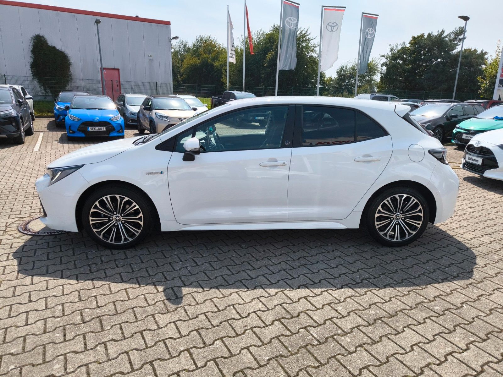 Toyota Corolla Hybrid - Samsaru's Car Outlet
