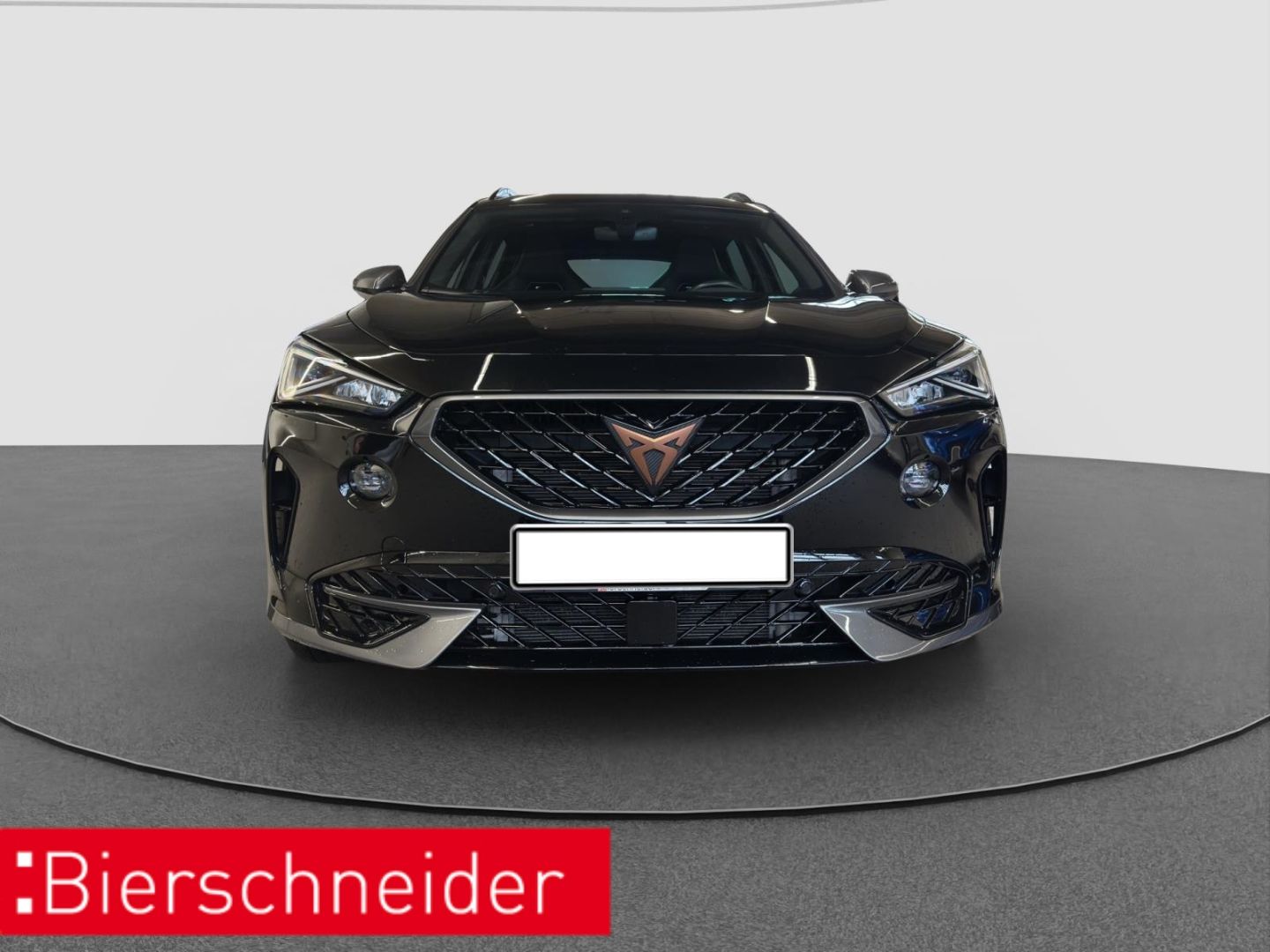 Cupra Formentor 1.4 TSI DSG e-Hybrid VZ AHK PANO REAR