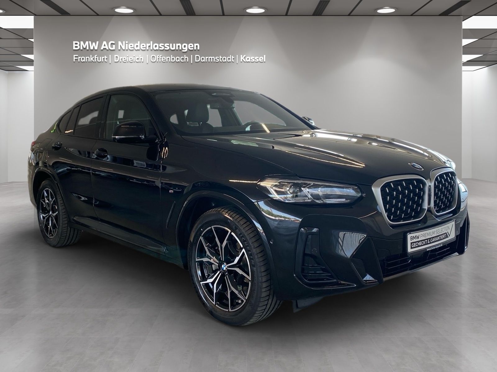 BMW X4 xDrive20i M Sport AHK Driv.Assist.Prof HiFi