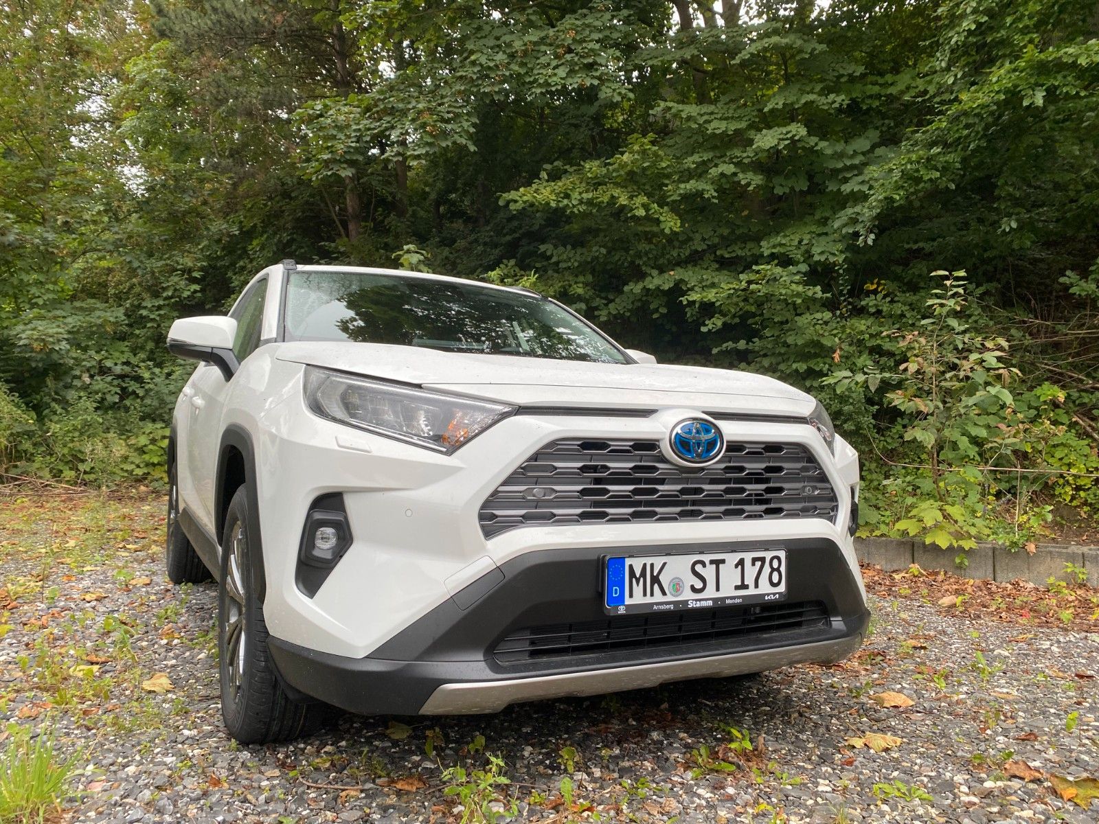 Toyota RAV4 Hybrid Team - Samsaru's Car Outlet