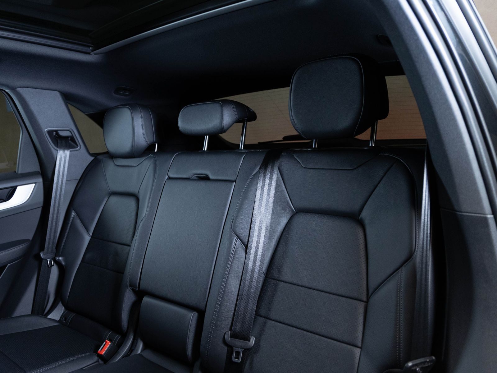 Porsche Cayenne E-Hybrid Panoramadach Luftfederung