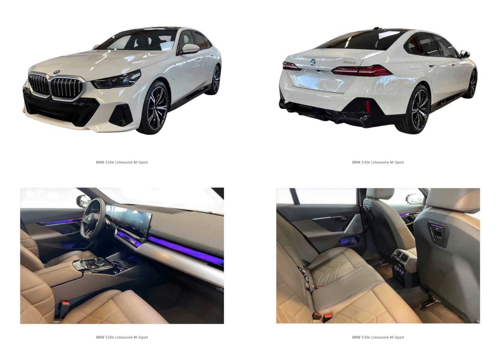 BMW 530e M Sport / PANO / AHK / HK / BRAUN LEDER