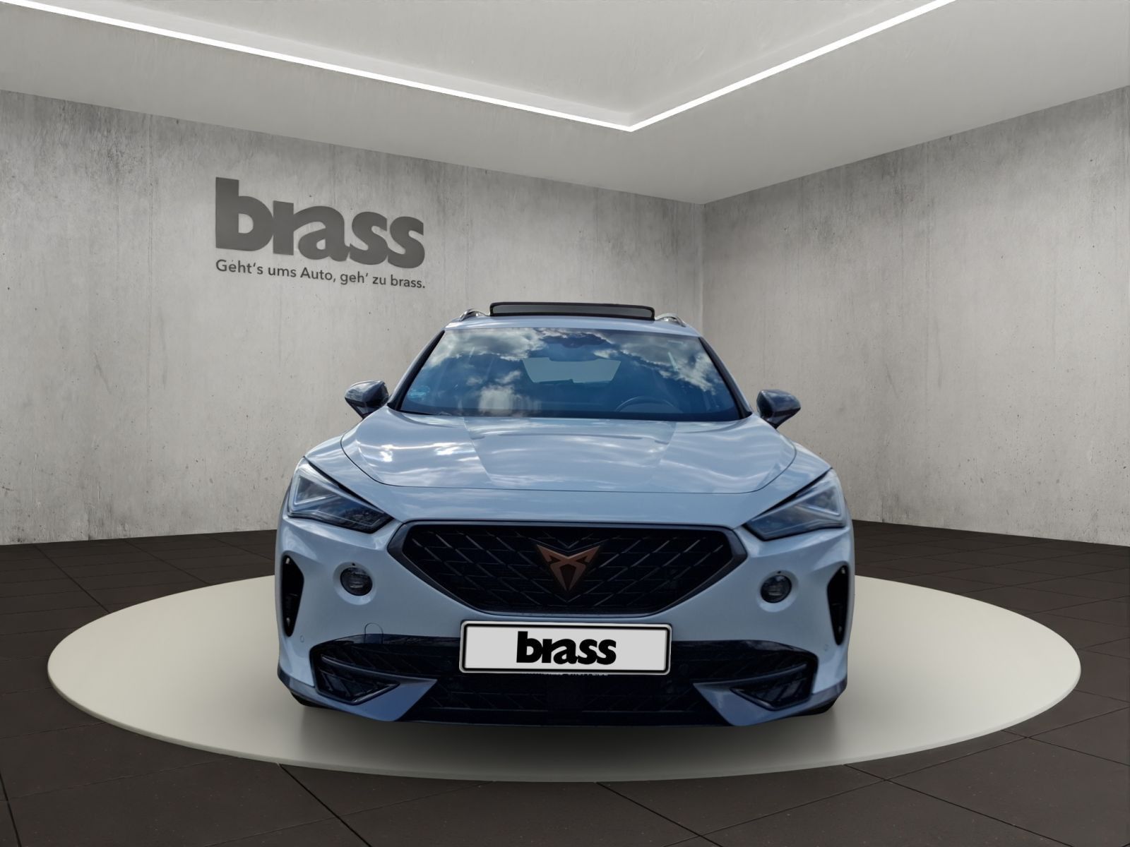 Cupra Formentor 2.0 TSI VZ AHK Panorama Soundsystem