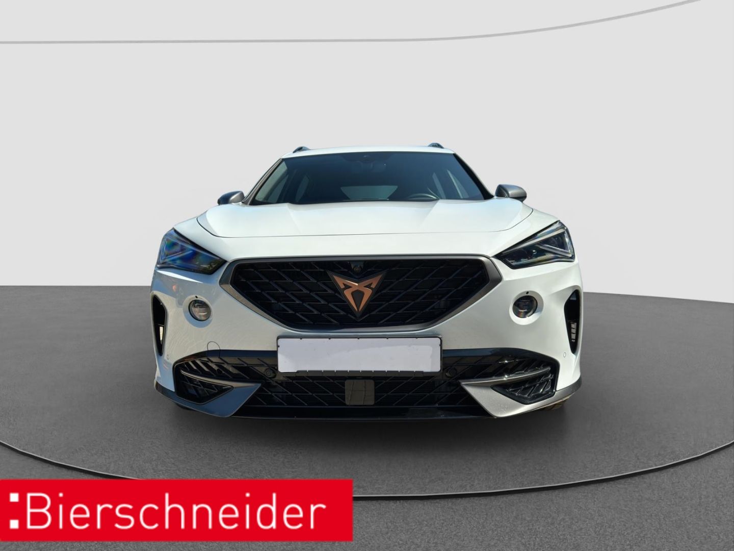 Cupra Formentor 1.4 e-Hybrid DSG VZ AHK RAER VIEW LED
