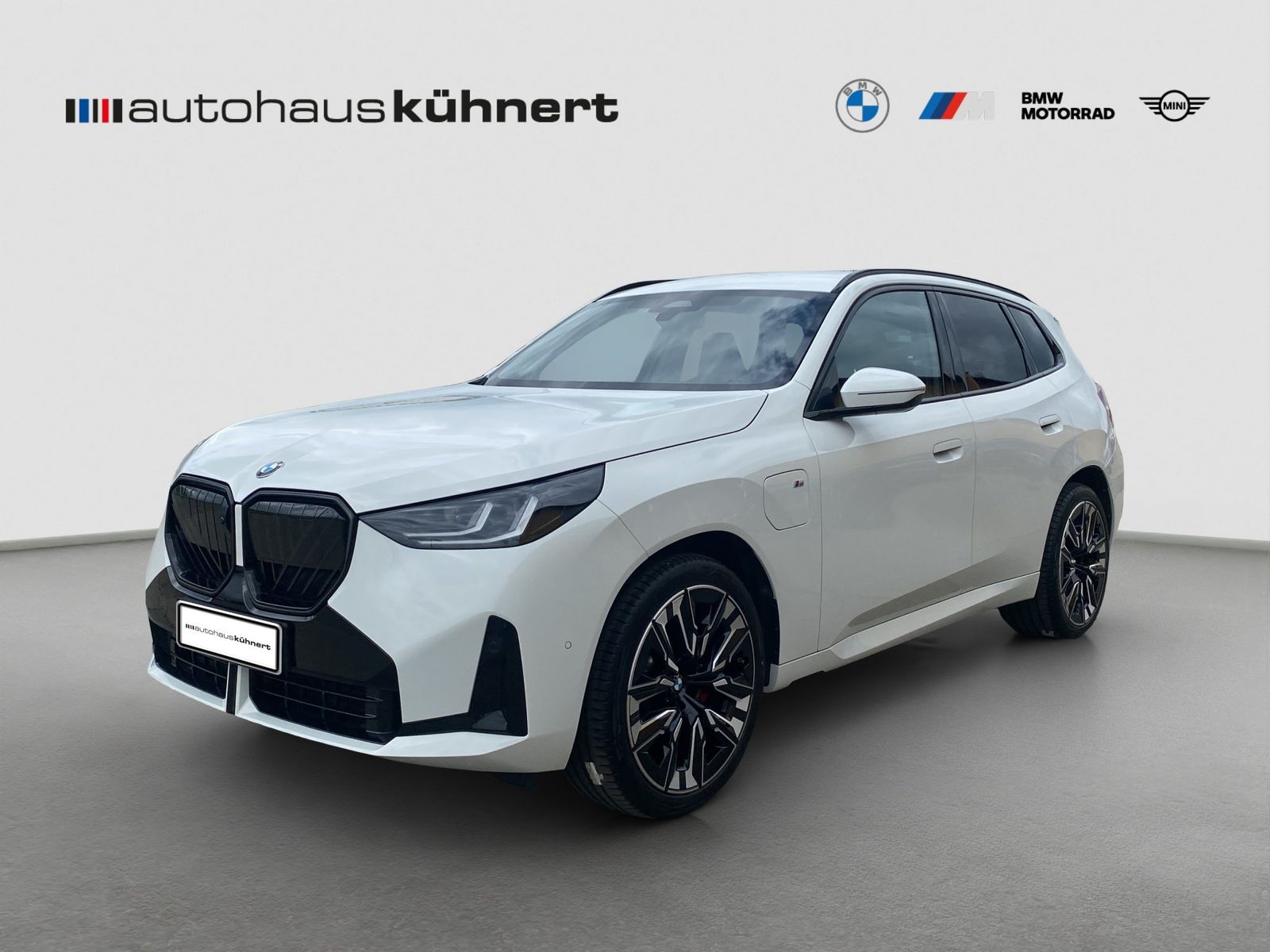 BMW X3 30e xDrive ///M-Sport PRO ACC AHK SpurAss 360