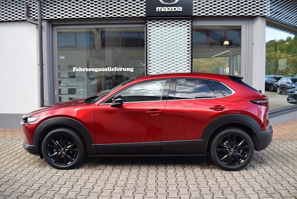 Mazda CX-30 2.5 140PS 6AG Homura Voll-LED Navi Kamera
