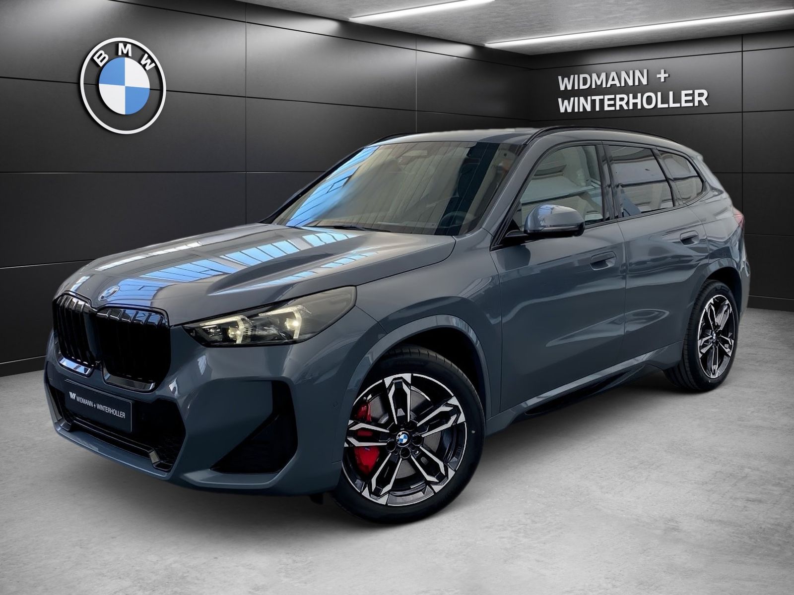 BMW X1 xDrive23d M Sport 360° ACC AHK AUT Alcant. HU