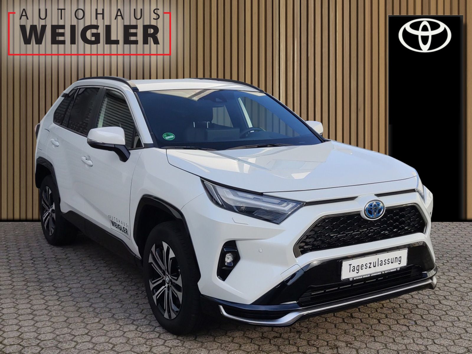 Toyota RAV4 Plug-in Hybrid 4x4 Team*AHK*Bearlock