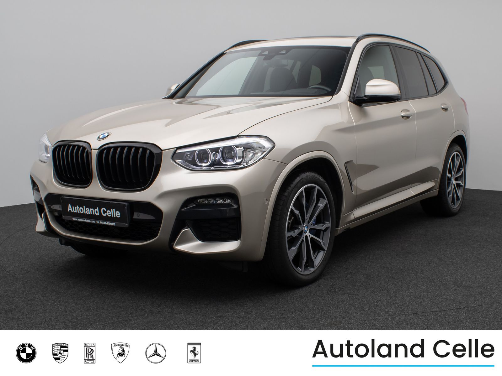 BMW X3 xD30d M Sport Panorama Kamera DAB HiFi DisKey