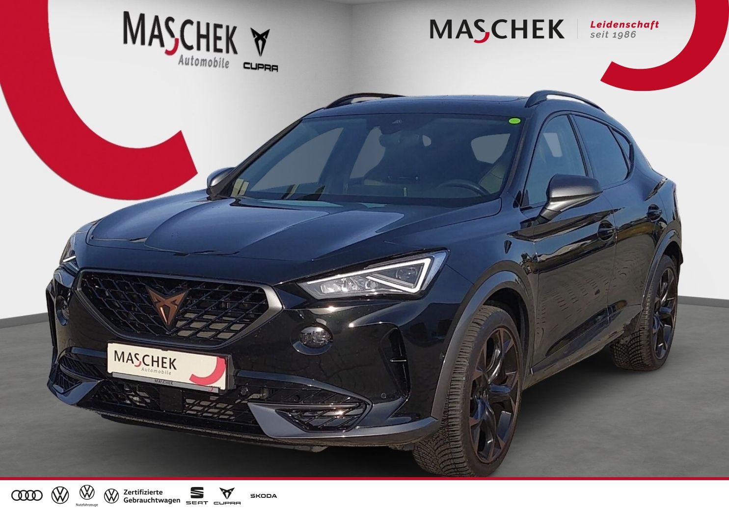 Cupra Formentor 2.0 TSI DSG Pano AHK Schalens. RearVie