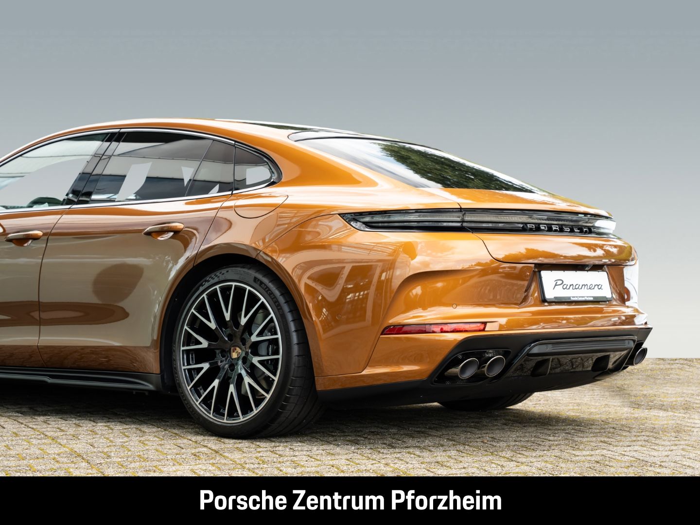 Porsche Panamera 4 E-Hybrid SportDesign Paket HD-Matrix