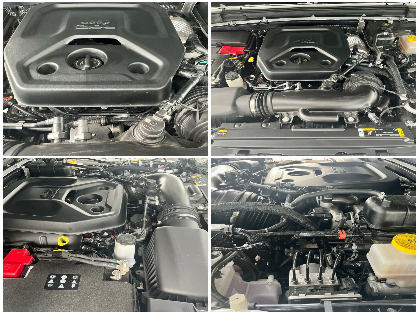 Jeep Wrangler 2.0 Sky One Rubicon Brute Look + Carbon